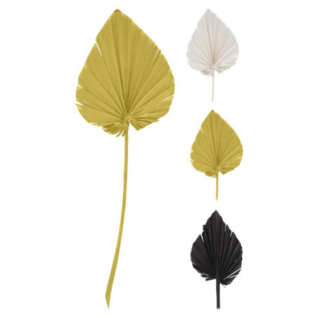 HOJA DE PLAMA ELIPTICA DECORATIVA