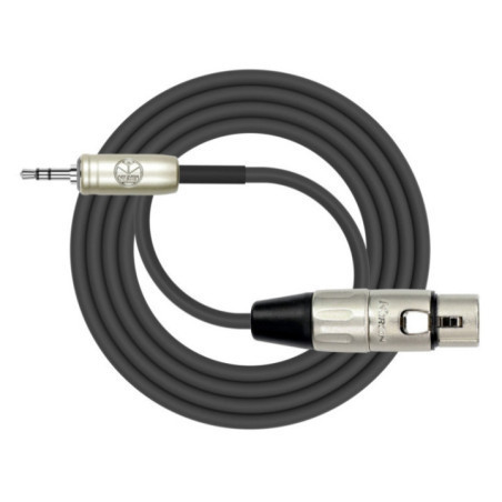 CABLE 3.5 PLUG A XLR F AP-494PRL 1M BK