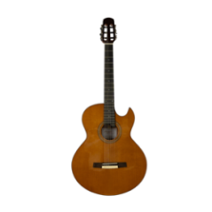 GUITARRA ACUSTICA NYLON LTLC-330