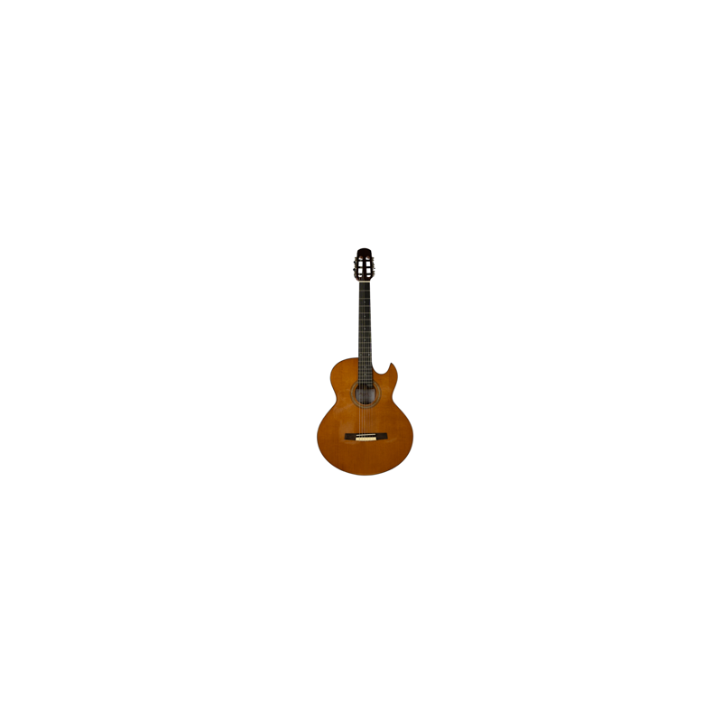GUITARRA ACUSTICA NYLON LTLC-330