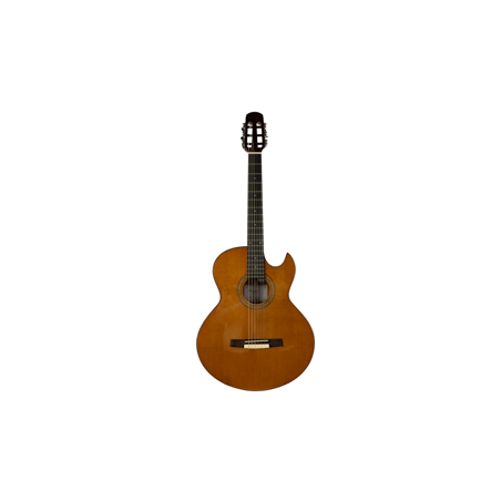 GUITARRA ACUSTICA NYLON LTLC-330