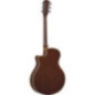 GUITARRA ELECTROACUSTICA APX600 OLD V. S