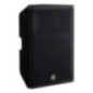 BOCINA ACTIVA DXR15MKII