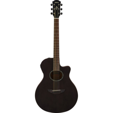GUITARRA ELECTROACUSTICA APX600M SMOKY B