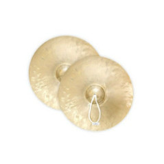 PLATILLO DE MARCHA 25CM TCY25P