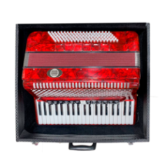 ACORDEON 41K120B4 120 BAJOS