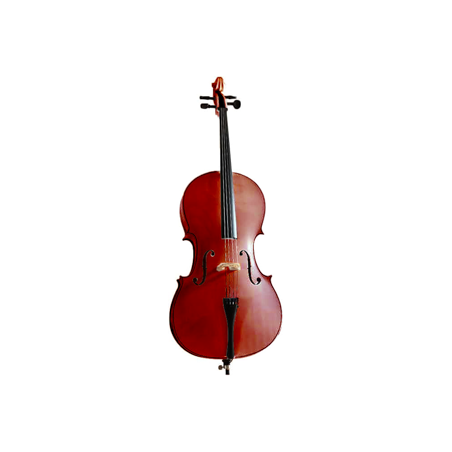 VIOLONCHELO C030 1/2