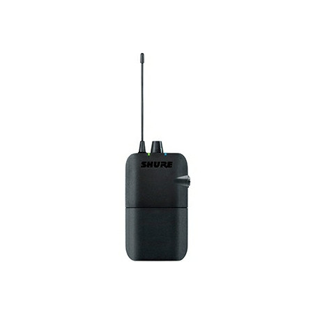 RECEPTOR PARA MONITOREO P3R-G20