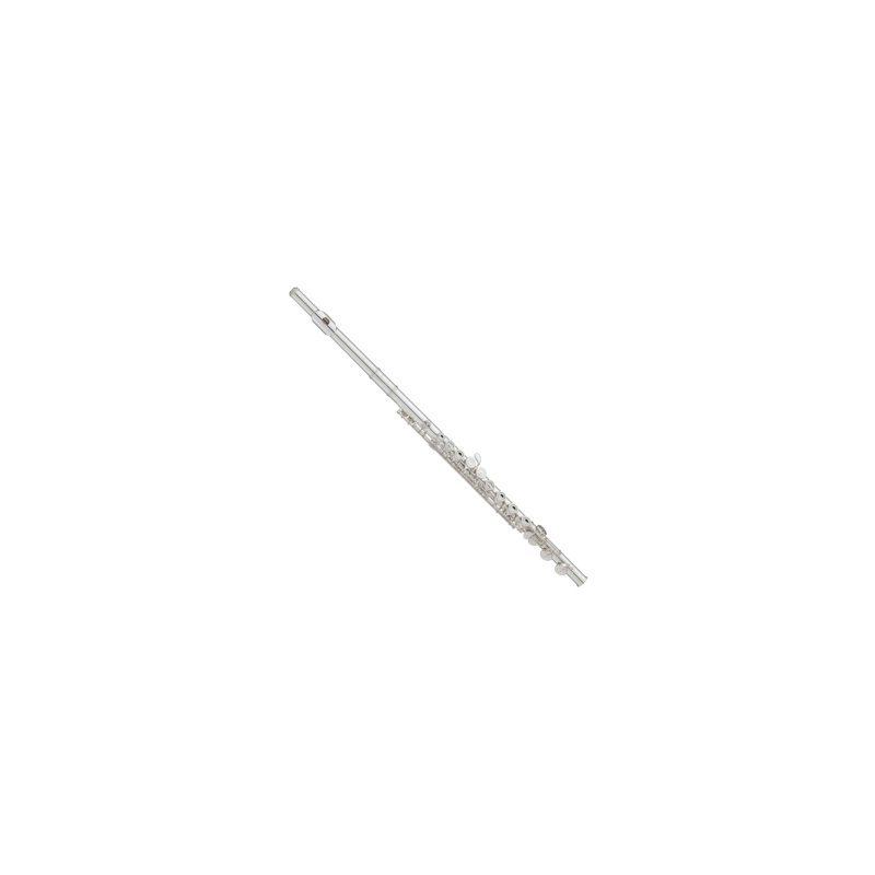 FLAUTA CON ESTUCHE YFL-222HD