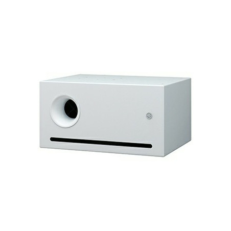 SUBWOOFER VXS10SW