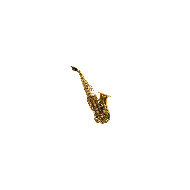 SAXOFON SOPRANINO CURVO SP3041G