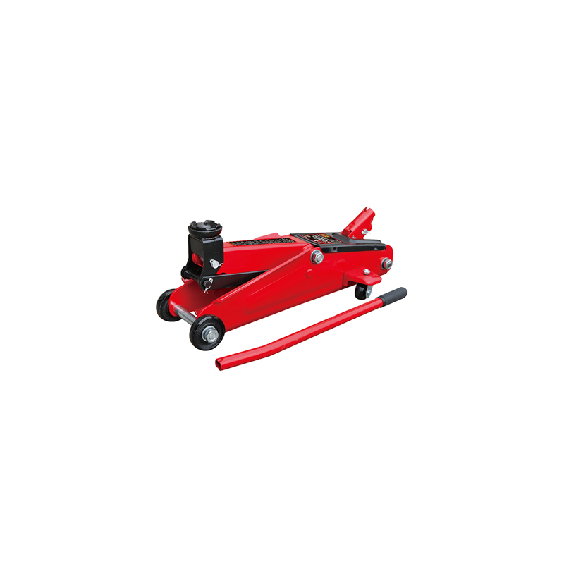 GATO LAGARTO T830013 3T