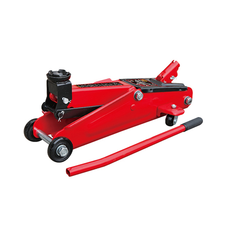 GATO LAGARTO T830013 3T