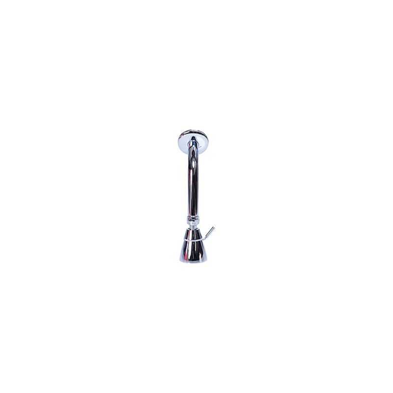 DUCHA SH004 BRAZO CURVO