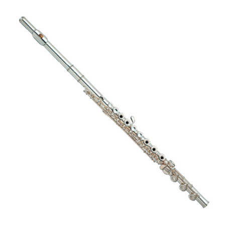 FLAUTA CON ESTUCHE YFL-482H