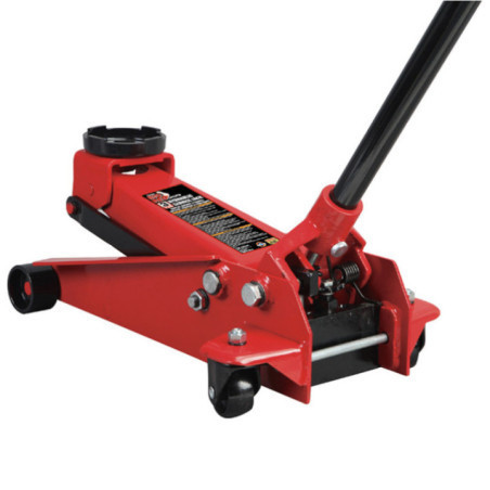 GATA LAGARTO T830025
