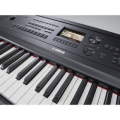 TECLADO GRAND DGX-670B NEGRO