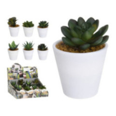 SUCULENTA EN MACETA BLANCA