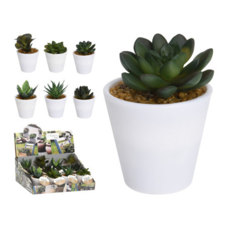 SUCULENTA EN MACETA BLANCA