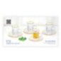 JUEGO TE 6TZ+6PL  DORADO 4OZ P108004H