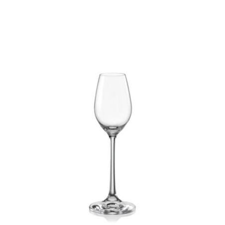 SET 6 PZAS VIOLA 550 ML 40729