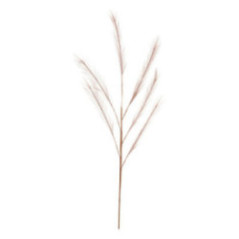 PLUMAS DECORATIVAS ROSA