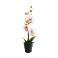 ORQUIDEA ARTIFICIAL BLANCA