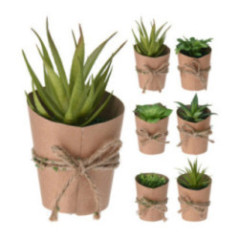 SUCULENTA EN MACETA PAPEL