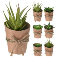 SUCULENTA EN MACETA PAPEL