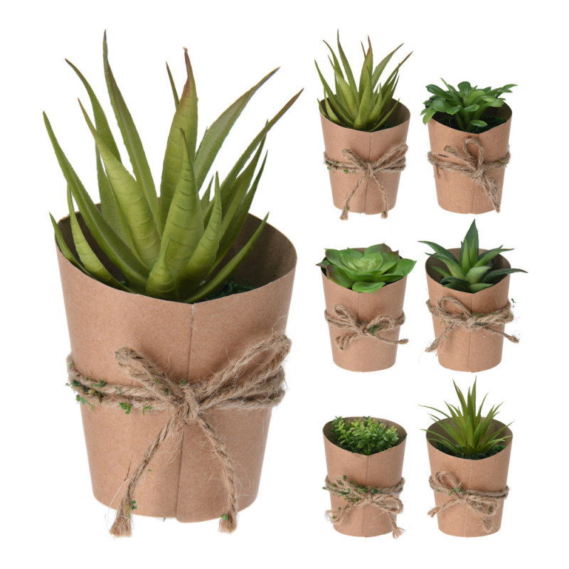SUCULENTA EN MACETA PAPEL