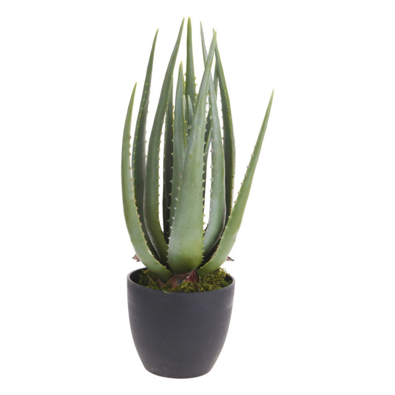 MACETA ALOE VERA ARTIFICIAL