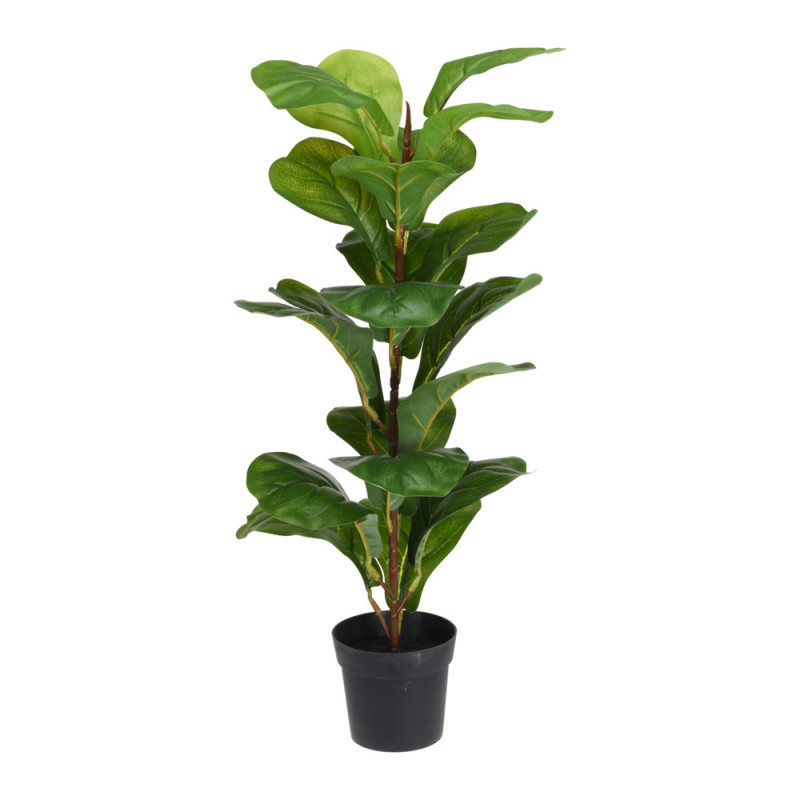 MACETA CON PLANTA GRANDE