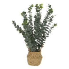 PLANTA ARTIFICIAL EUCALIPTO EN CANASTO