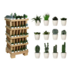 CACTUS EN MACETA BLANCA