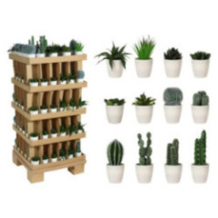 CACTUS EN MACETA BLANCA