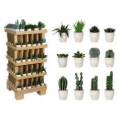 CACTUS EN MACETA BLANCA