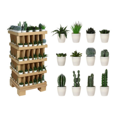 SUCULENTA EN MACETA BLANCA