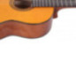 GUITARRA CS-40
