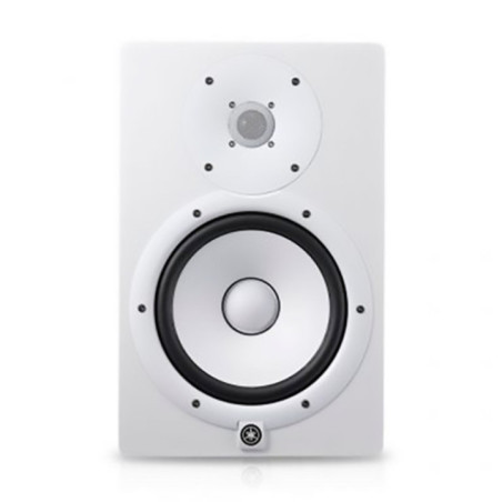 MONITOR DE ESTUDIO HS8W