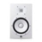 MONITOR DE ESTUDIO HS8W
