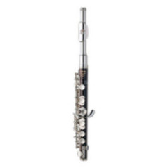 PICCOLO YPC-32